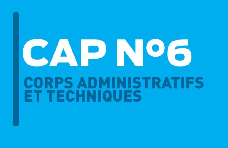 Déclaration liminaire : CAP des Secrétaires Administratif(ve)set des Technicien(ne)s de la DAP