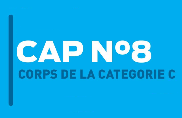 Déclaration liminaire CAP des corps communs de catégorie Cet des adjoint(e)s techniques de la DAP